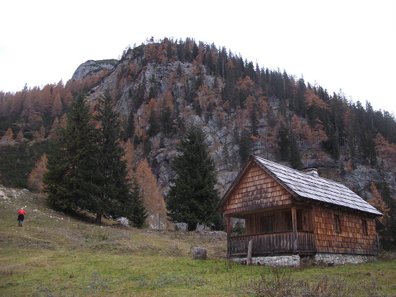 almkogel